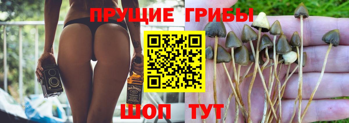 Псилоцибиновые грибы ЛСД Набережные Челны